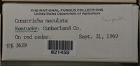 Image Associated With the Occurence